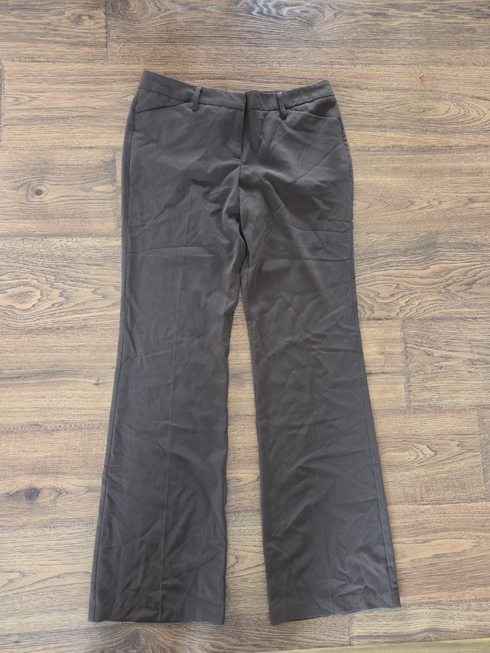 Star City Chocolate Brown Dress Pant 11L